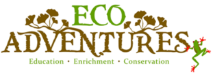 Eco Adventures Logo